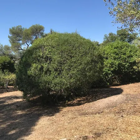 Βίλα Des Annees 30 Saint-Raphaël